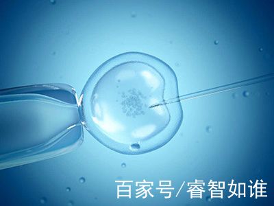 私人拉拉借卵代怀助孕咨询